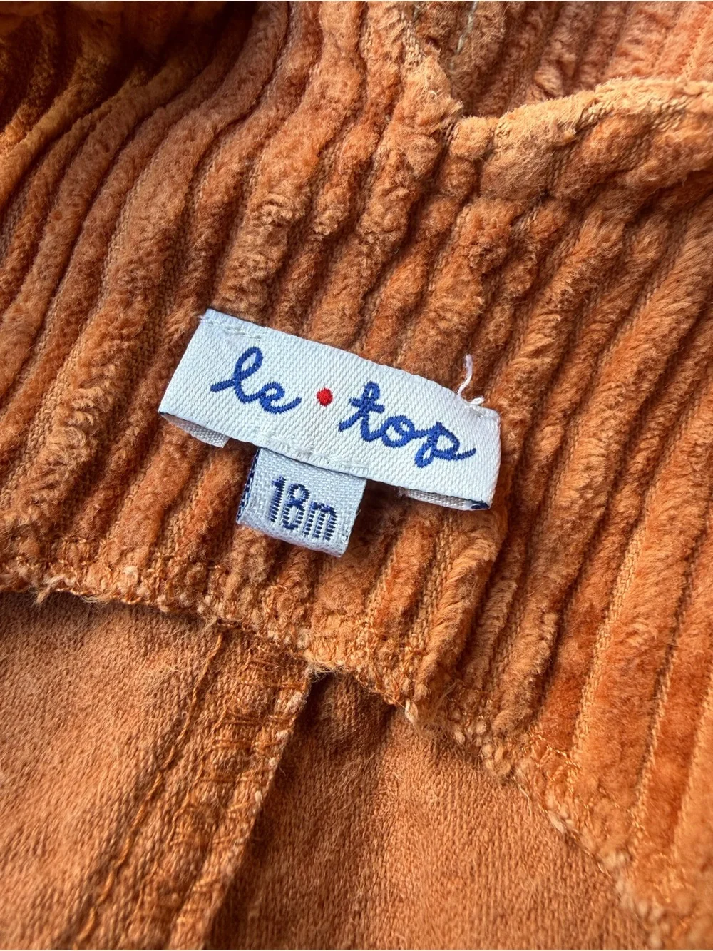 Le Top Vintage Corduroy Overalls Rust Embroidered Dino 18 Hippie Boy Girl Pants